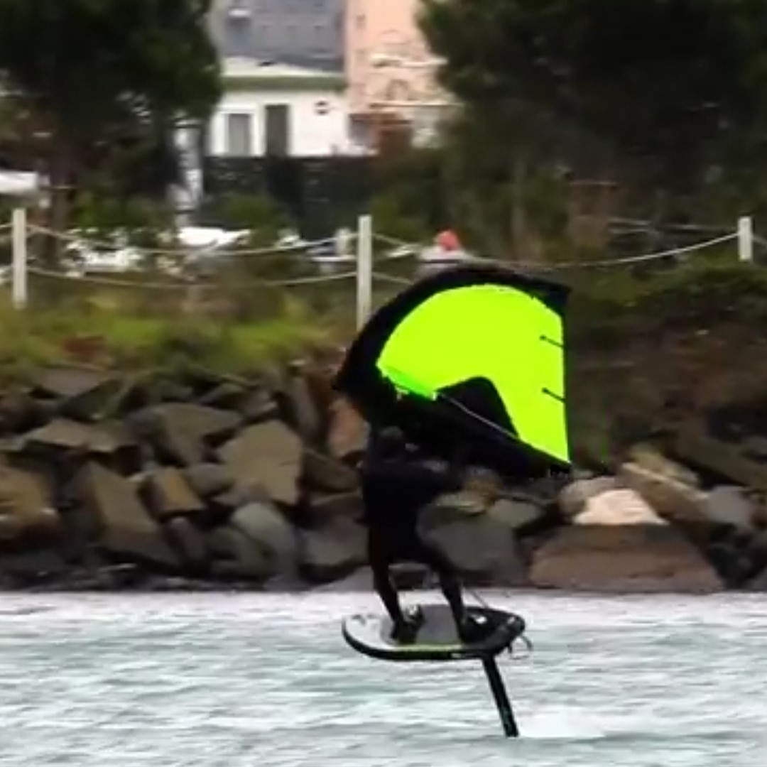 wingfoil pictures reptile